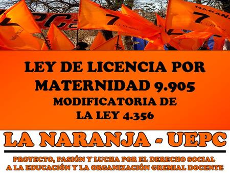 LEY DE LICENCIA POR MATERNIDAD MODIFICATORIA DE LA LEY 4.356