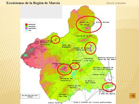 Ecosistemas de la Región de Murcia