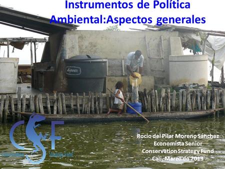 Instrumentos de Política Ambiental:Aspectos generales Rocio del Pilar Moreno Sánchez Economista Senior Conservation Strategy Fund Cali, Marzo de 2013.