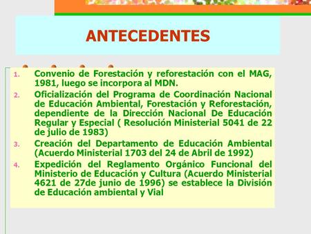 ANTECEDENTES Convenio de Forestación y reforestación con el MAG, 1981, luego se incorpora al MDN. Oficialización del Programa de Coordinación Nacional.