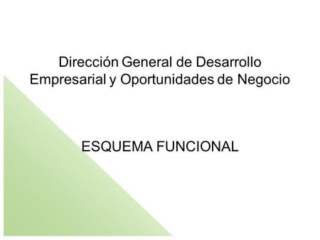 Dirección General de Desarrollo Empresarial y Oportunidades de Negocio
