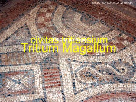 Civitas tritiensium TRICIO (La Rioja) Tritium Magallum.
