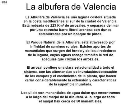 La albufera de Valencia