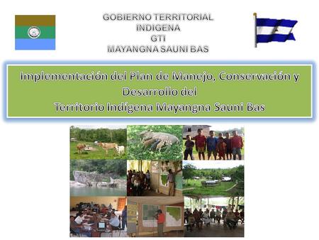 Mayangna Sauni Bas 43, 421 ha de extensión 43, 421 ha de extensión 660 habitantes, integrados en 152 familias 660 habitantes, integrados en 152 familias.