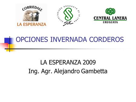 OPCIONES INVERNADA CORDEROS LA ESPERANZA 2009 Ing. Agr. Alejandro Gambetta.
