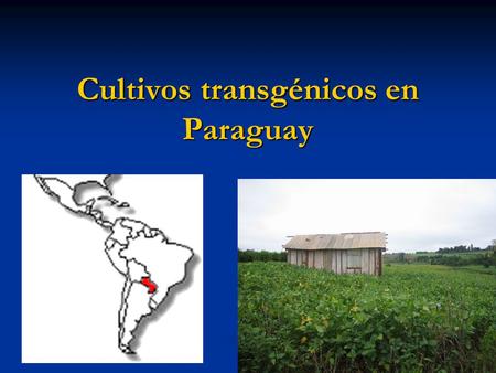 Cultivos transgénicos en Paraguay. Perspectivas Ampliación de las superficies de cultivos por los buenos precios actuales del mercado internacional Ampliación.