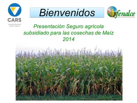 Bienvenidos Presentación Seguro agrícola subsidiado para las cosechas de Maíz 2014.