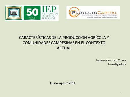 1 CARACTERÍSTICAS DE LA PRODUCCIÓN AGRÍCOLA Y COMUNIDADES CAMPESINAS EN EL CONTEXTO ACTUAL Johanna Yancari Cueva Investigadora Cusco, agosto 2014.