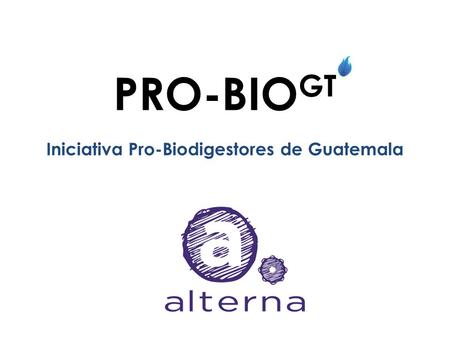 Iniciativa Pro-Biodigestores de Guatemala