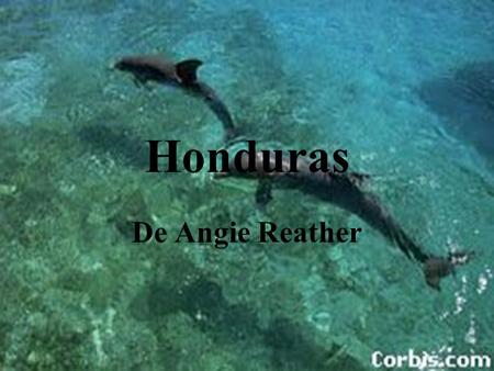 Honduras De Angie Reather. Indice La Población El Clima La Langua y La Religón Los Animales Plant Life.