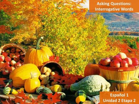 Asking Questions: Interrogative Words Español 1 Unidad 2 Etapa 2.