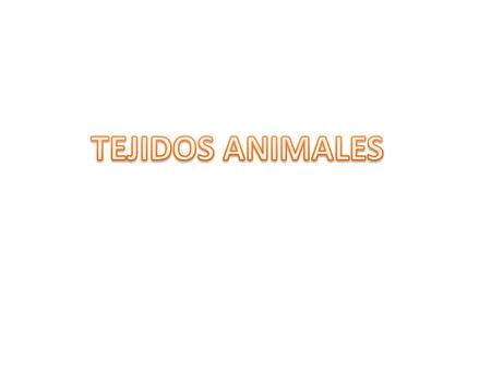 TEJIDOS ANIMALES.