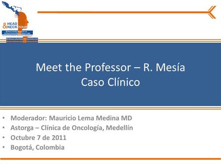 Meet the Professor – R. Mesía