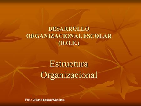 DESARROLLO ORGANIZACIONAL ESCOLAR (D.O.E.) Estructura Organizacional