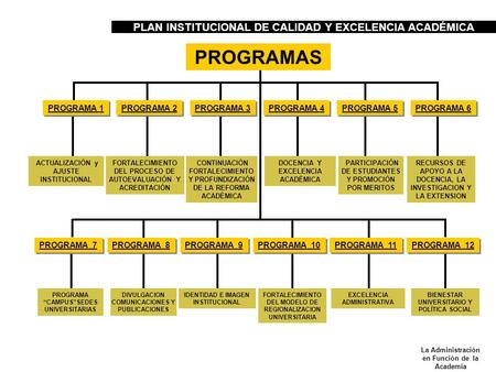 PROGRAMAS PLAN INSTITUCIONAL DE CALIDAD Y EXCELENCIA ACADÉMICA