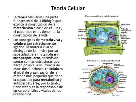 Teoría Celular La teoría celular es una parte fundamental de la Biología que explica la constitución de la materia viva a base de células y el papel que.