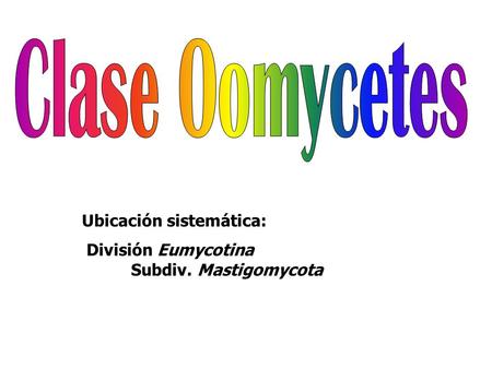 Clase Oomycetes Ubicación sistemática: