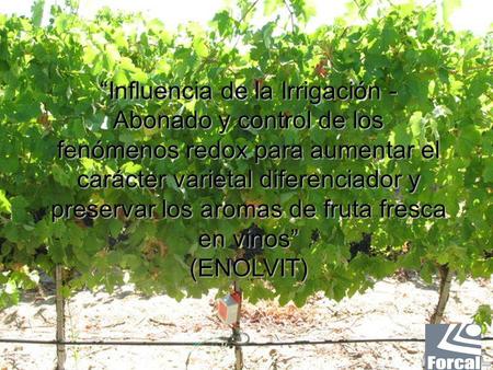 “Influencia de la Irrigación - Abonado y control de los fenómenos redox para aumentar el carácter varietal diferenciador y preservar los aromas de fruta.