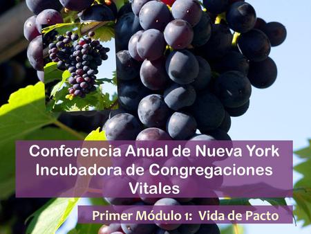Conferencia Anual de Nueva York Incubadora de Congregaciones Vitales Primer Módulo 1: Vida de Pacto.