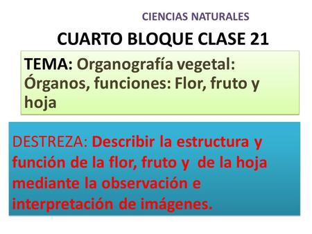 CIENCIAS NATURALES CUARTO BLOQUE CLASE 21