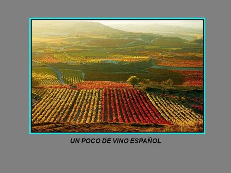 UN POCO DE VINO ESPAÑOL QUÉ MARAVILLA !!!!!!! INDICE: Algo de historia El proceso Tipos de vinos D. O. Rioja D. O. Ribera del Duero El mundo del Sherry.