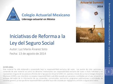 Actuarial Summit 2014 – Colegio Actuarial Mexicano – www.colegioactuarial.org Iniciativas de Reforma a la Ley del Seguro Social Autor: Luz María Álvarez.