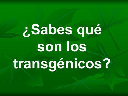 ¿Sabes qué son los transgénicos?.