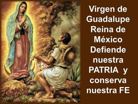 Virgen de Guadalupe Reina de México