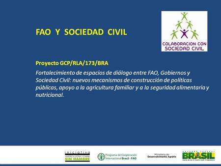 Proyecto GCP/RLA/173/BRA Fortalecimiento de espacios de diálogo entre FAO, Gobiernos y Sociedad Civil: nuevos mecanismos de construcción de políticas públicas,