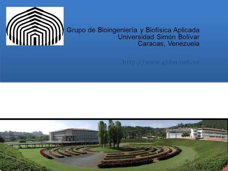 Grupo de Bioingeniería y Biofísica Aplicada Universidad Simón Bolívar Caracas, Venezuela http://www.gbba.usb.ve.