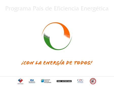 Programa País Eficiencia Energética - Instrumentos económicos y fiscales - Nicola Borregaard, Directora Ejecutiva Enero 2007.