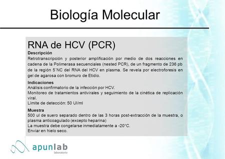 RNA de HCV (PCR) Descripción