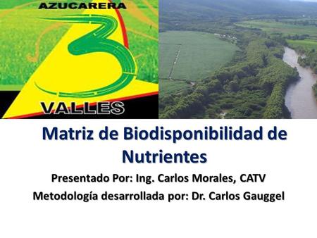 Matriz de Biodisponibilidad de Nutrientes Presentado Por: Ing. Carlos Morales, CATV Metodología desarrollada por: Dr. Carlos Gauggel.