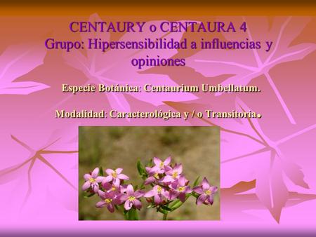 CENTAURY o CENTAURA 4 Grupo: Hipersensibilidad a influencias y opiniones Especie Botánica: Centaurium Umbellatum. Modalidad: Caracterológica y / o Transitoria.