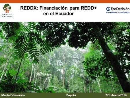 REDDX: Financiación para REDD+ en el Ecuador Marta EchavarriaBogotá 27 febrero 2014.