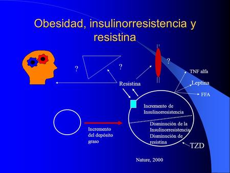 Obesidad, insulinorresistencia y resistina