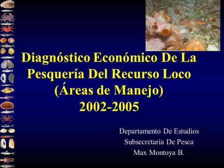 Diagnóstico Económico De La Pesquería Del Recurso Loco (Áreas de Manejo) 2002-2005 Departamento De Estudios Subsecretaría De Pesca Max Montoya B.