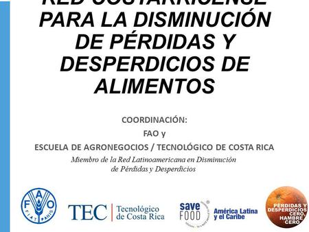 ESCUELA DE AGRONEGOCIOS / TECNOLÓGICO DE COSTA RICA