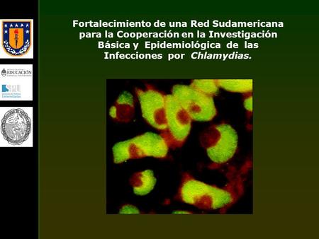 Fortalecimiento de una Red Sudamericana para la Cooperación en la Investigación Básica y Epidemiológica de las Infecciones por Chlamydias.