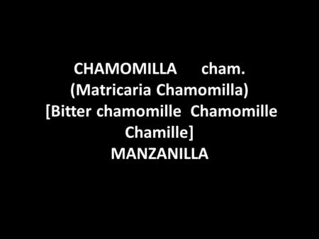 CHAMOMILLA 	cham. (Matricaria Chamomilla) [Bitter chamomille Chamomille Chamille] MANZANILLA  