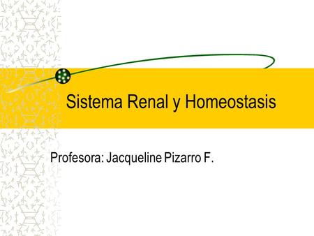 Sistema Renal y Homeostasis