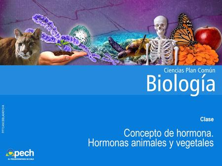 Concepto de hormona. Hormonas animales y vegetales