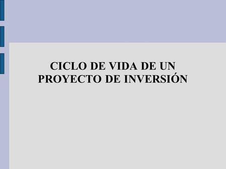 CICLO DE VIDA DE UN PROYECTO DE INVERSIÓN