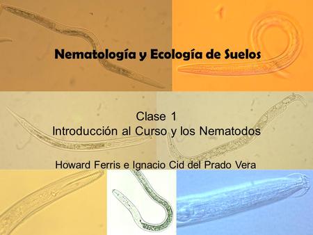 Nematología y Ecología de Suelos
