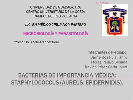 Bacterias de importancia médica: staphylococcus (aureus, epidermidis).