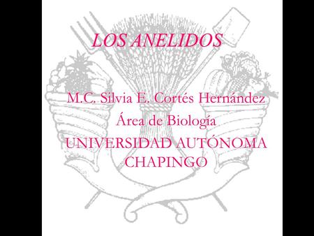 LOS ANELIDOS M.C. Silvia E. Cortés Hernández Área de Biología