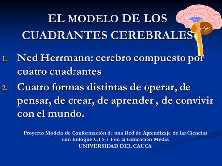 EL MODELO DE LOS CUADRANTES CEREBRALES