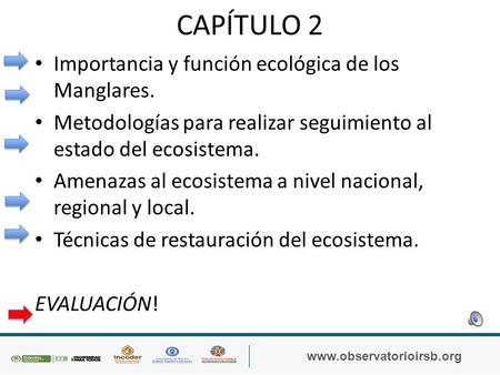 CAPÍTULO 2 Importancia y función ecológica de los Manglares. Metodologías para realizar seguimiento al estado del ecosistema. Amenazas al ecosistema a.