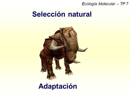 Selección natural Adaptación