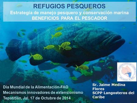REFUGIOS PESQUEROS Estrategia de manejo pesquero y conservación marina BENEFICIOS PARA EL PESCADOR Día Mundial de la Alimentación-FAO Mecanismos innovadores.